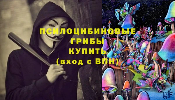 стафф Абаза